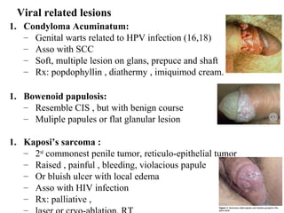 Seminar ca penis | PPT