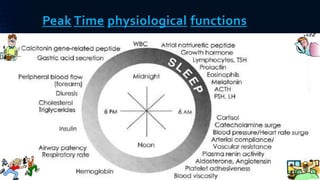 Peak Time physiological functions
 
