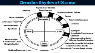Circadian Rhythm of Disease
 