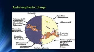Antineoplastic drugs
 