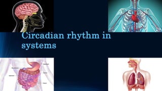Circadian rhythm in
systems
 