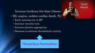 Increase incidence b/w 6am-12noon:
• MI, angina, sudden cardiac death, TIA etc.
• Early morning rise in BP:
• Increase vascular tone
• Increase platelet aggregation
• Decrease in intrinsic thrombolytic activity
Thrombus formation
 