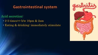 Gastrointestinal system
Acid secretion:
• 2-3 times>> b/w 10pm & 2am
• Eating & drinking: immediately stimulate
 