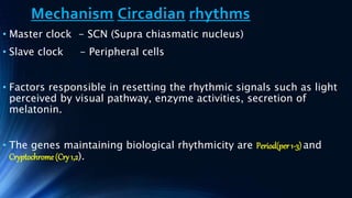 Mechanism Circadian rhythms
• Master clock - SCN (Supra chiasmatic nucleus)
• Slave clock - Peripheral cells
• Factors responsible in resetting the rhythmic signals such as light
perceived by visual pathway, enzyme activities, secretion of
melatonin.
• The genes maintaining biological rhythmicity are Period(per 1-3) and
Cryptochrome (Cry 1,2).
 