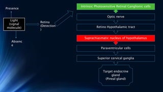 Light
(signal
molecule)
Presence
Absenc
e
Retina
(Detection
)
Optic nerve
Intrinsic Photosensitive Retinal Ganglionic cells
Retino Hypothalamic tract
Paraventricular cells
Suprachiasmatic nucleus of hypothalamus
Superior cervical ganglia
Target endocrine
gland
(Pineal gland)
 