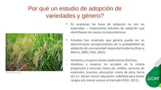 ¿Es género una variable determinante en la adopción de variedades modernas? El caso de arroz en Ecuador.
