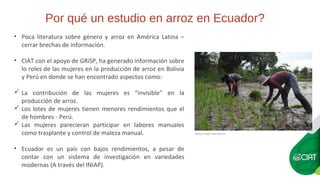 ¿Es género una variable determinante en la adopción de variedades modernas? El caso de arroz en Ecuador.