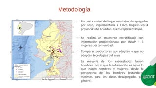 ¿Es género una variable determinante en la adopción de variedades modernas? El caso de arroz en Ecuador.