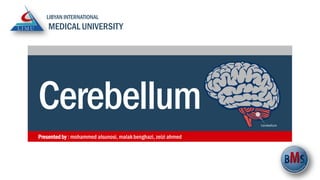 Cerebellum
LIBYAN INTERNATIONAL
MEDICAL UNIVERSITY
Presentedby : mohammed alsunosi, malakbenghazi, zeizi ahmed
Cerebellum
 