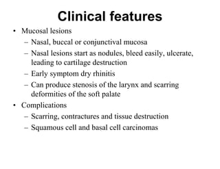Clinical features
• Mucosal lesions
– Nasal, buccal or conjunctival mucosa
– Nasal lesions start as nodules, bleed easily, ulcerate,
leading to cartilage destruction
– Early symptom dry rhinitis
– Can produce stenosis of the larynx and scarring
deformities of the soft palate
• Complications
– Scarring, contractures and tissue destruction
– Squamous cell and basal cell carcinomas

 