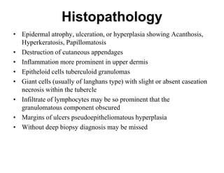Histopathology
• Epidermal atrophy, ulceration, or hyperplasia showing Acanthosis,
Hyperkeratosis, Papillomatosis
• Destruction of cutaneous appendages
• Inflammation more prominent in upper dermis
• Epitheloid cells tuberculoid granulomas
• Giant cells (usually of langhans type) with slight or absent caseation
necrosis within the tubercle
• Infiltrate of lymphocytes may be so prominent that the
granulomatous component obscured
• Margins of ulcers pseudoepitheliomatous hyperplasia
• Without deep biopsy diagnosis may be missed

 
