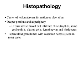 Histopathology
• Center of lesion abscess formation or ulceration
• Deeper portions and at periphery
– Diffuse dense mixed cell infiltrate of neutrophils, some
eosinophils, plasma cells, lymphocytes and histiocytes
• Tuberculoid granulomas with caseation necrosis seen in
most cases

 