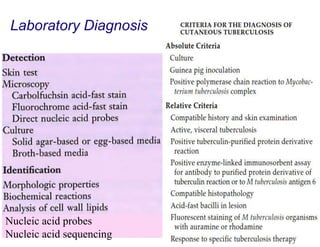 Laboratory Diagnosis

Nucleic acid probes
Nucleic acid sequencing

 