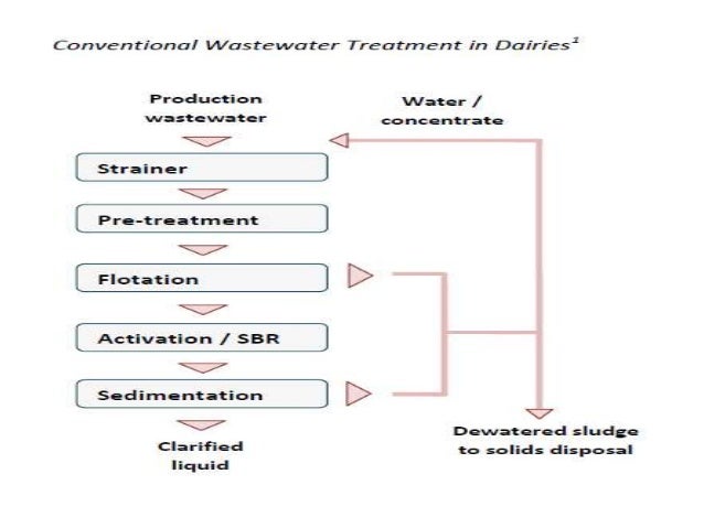 seminar dairy industrial waste water treatment dairy waste treatment flow chart