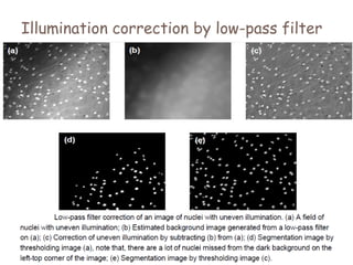 Illumination correction by low-pass filter
 