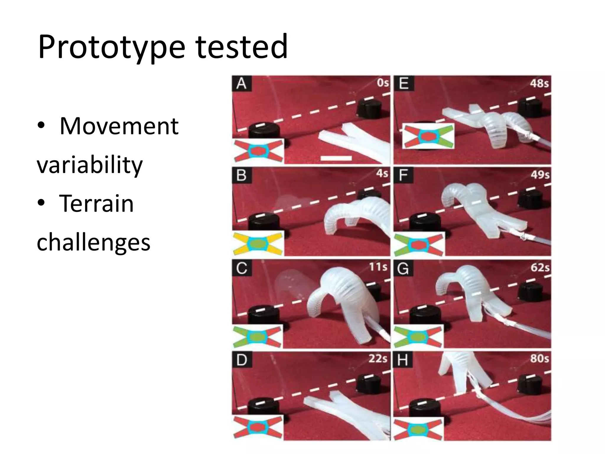 Prototype tested

• Movement
variability
• Terrain
challenges
 