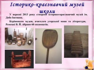 Історико-краєзнавчий музей
школи
У вересні 2013 року створено історико-краєзнавчий музей ім.
Добо Іштвана.
Керівником музею, вчителем угорської мови та літератури,
Ремецкі В. Й. зібрано 60 експонатів.

 