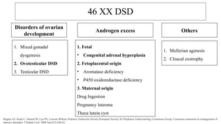 Comprehensive Overview of Disorders of Sex Development (DSD) in ...