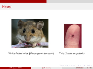 Hosts
White-footed mice (Peromyscus leucopus) Tick (Ixodes scapularis)
J. M. Dunn (QUT) QUT Seminar 08.08.2014 6 / 41
 