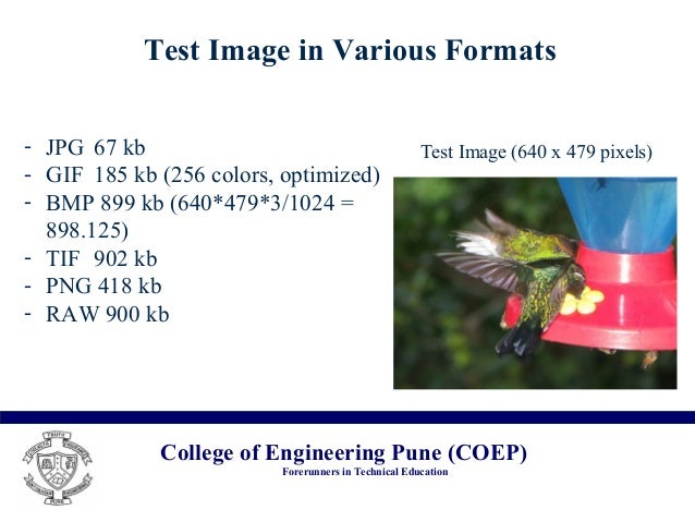 256 Bmp Картинки 