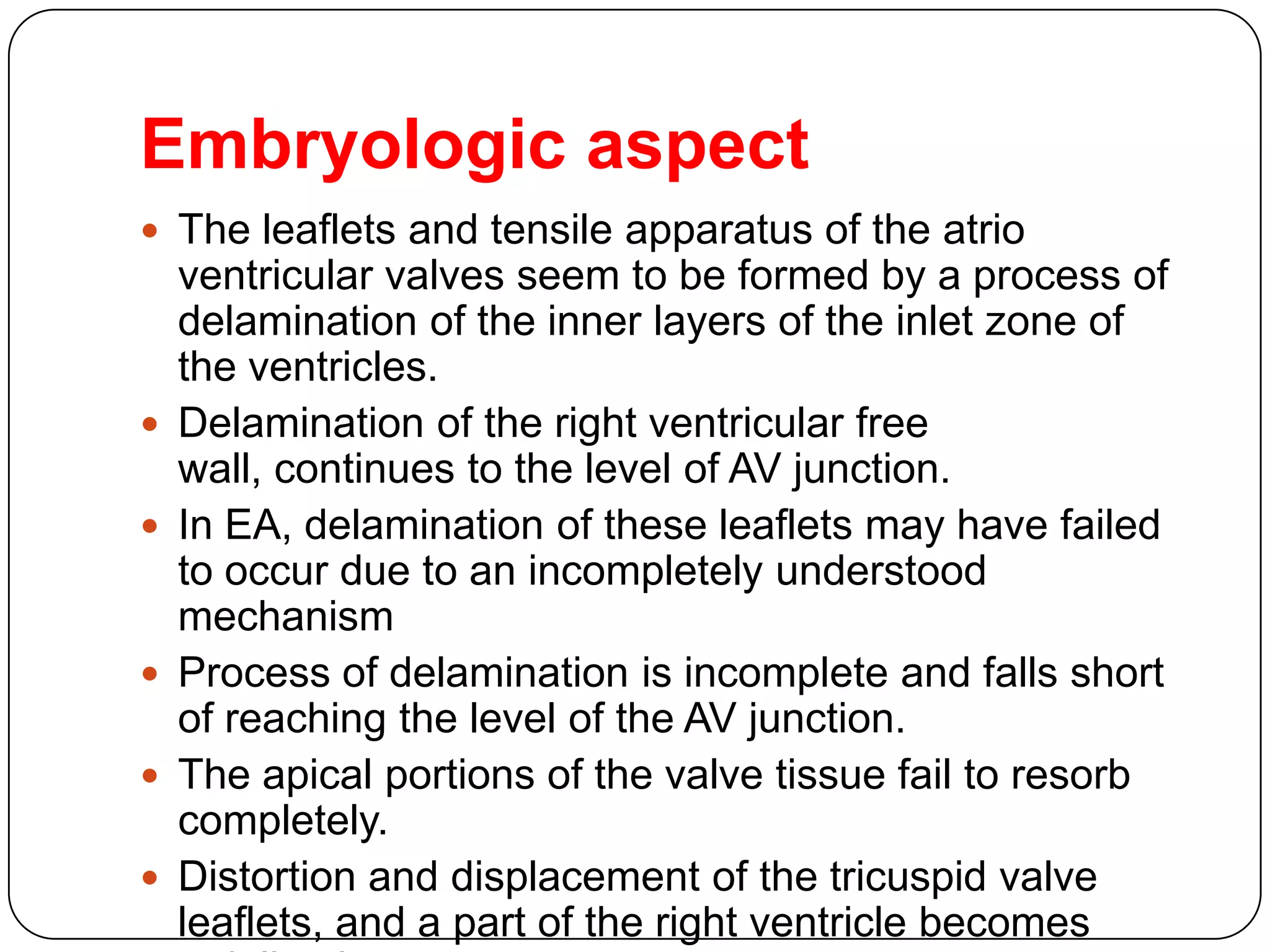 Embryologic aspect
 The leaflets and tensile apparatus of the atrio
ventricular valves seem to be formed by a process of
delamination of the inner layers of the inlet zone of
the ventricles.
 Delamination of the right ventricular free
wall, continues to the level of AV junction.
 In EA, delamination of these leaflets may have failed
to occur due to an incompletely understood
mechanism
 Process of delamination is incomplete and falls short
of reaching the level of the AV junction.
 The apical portions of the valve tissue fail to resorb
completely.
 Distortion and displacement of the tricuspid valve
leaflets, and a part of the right ventricle becomes
 