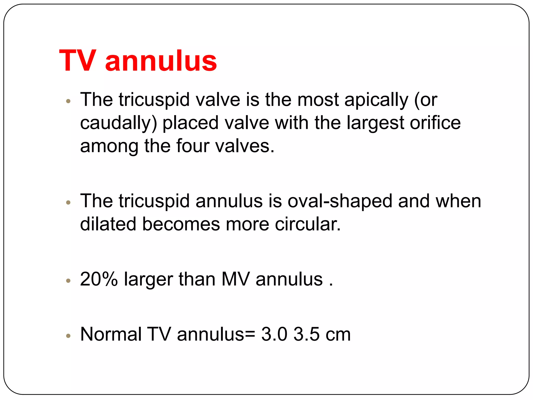 TV annulus
• The tricuspid valve is the most apically (or
caudally) placed valve with the largest orifice
among the four valves.
• The tricuspid annulus is oval-shaped and when
dilated becomes more circular.
• 20% larger than MV annulus .
• Normal TV annulus= 3.0 3.5 cm
 