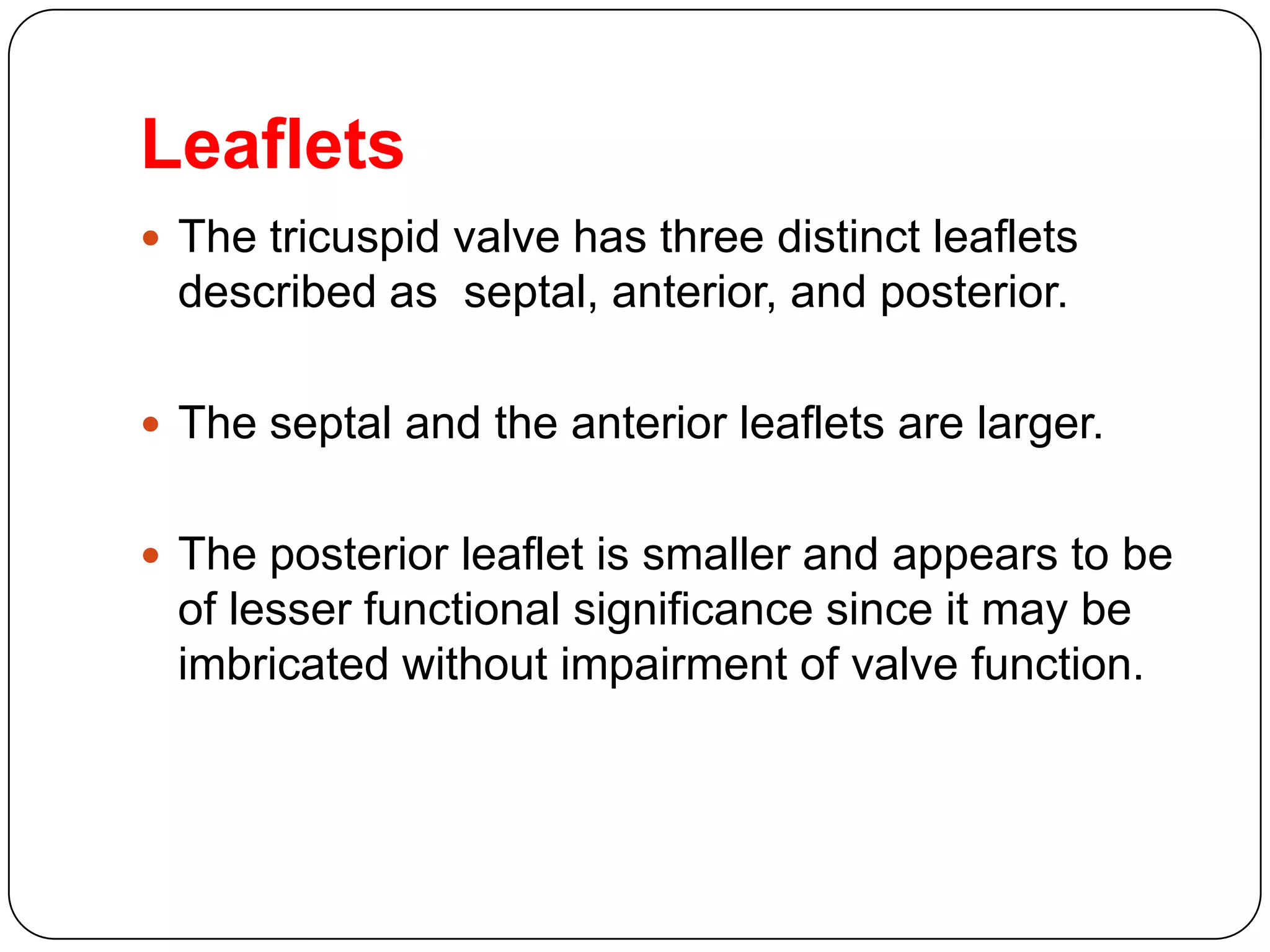 Leaflets
 The tricuspid valve has three distinct leaflets
described as septal, anterior, and posterior.
 The septal and the anterior leaflets are larger.
 The posterior leaflet is smaller and appears to be
of lesser functional significance since it may be
imbricated without impairment of valve function.
 