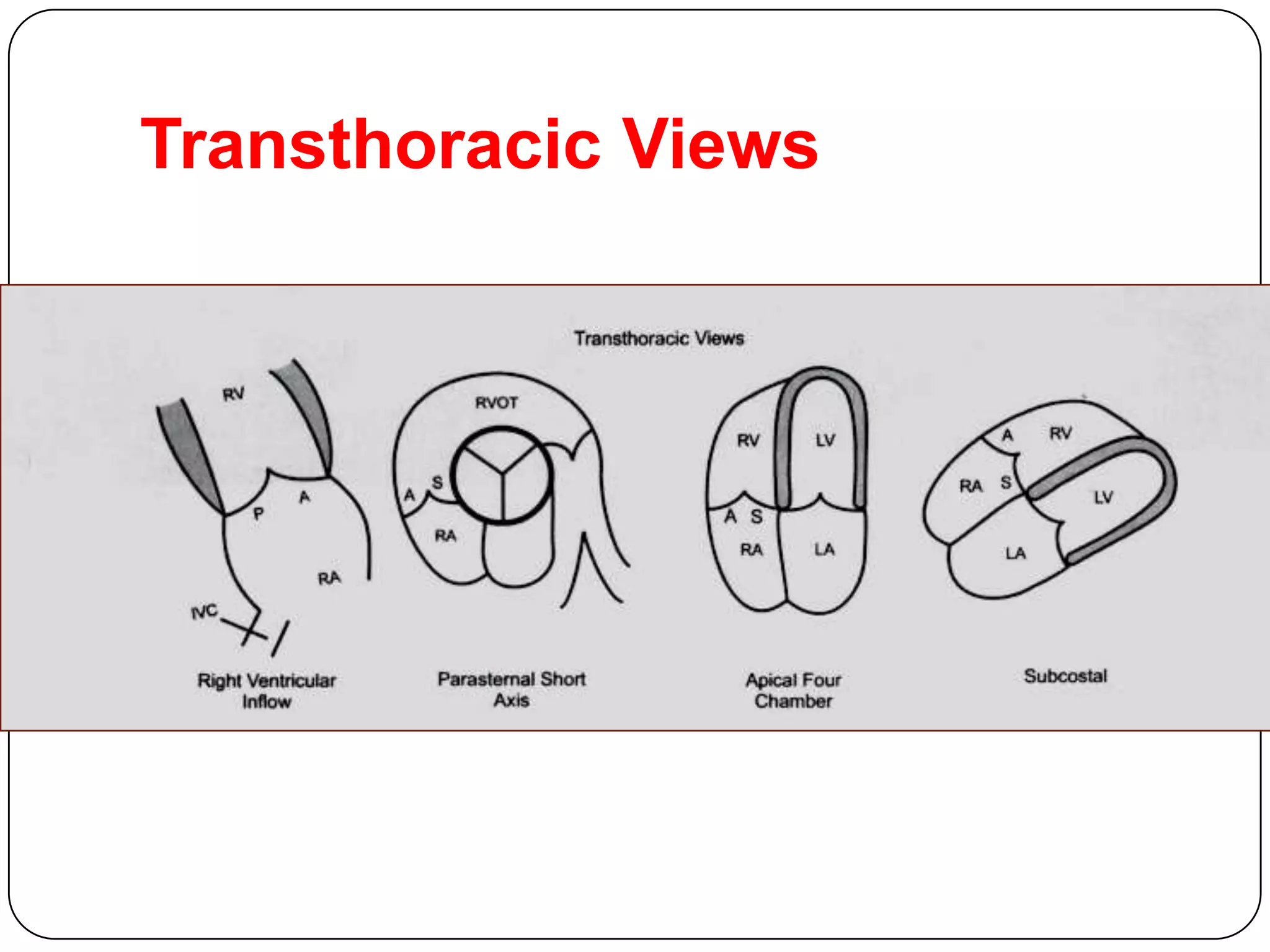 Transthoracic Views
 
