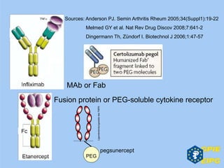 PEG
pegsunercept
Sources: Anderson PJ. Semin Arthritis Rheum 2005;34(Suppl1):19-22
Melmed GY et al. Nat Rev Drug Discov 2008;7:641-2
Dingermann Th, Zündorf I. Biotechnol J 2006;1:47-57
MAb or Fab
Fusion protein or PEG-soluble cytokine receptor
 