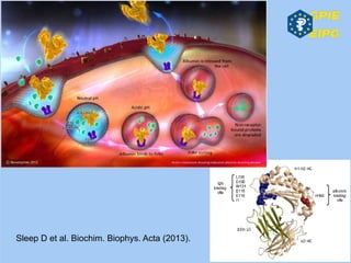 Sleep D et al. Biochim. Biophys. Acta (2013).
 