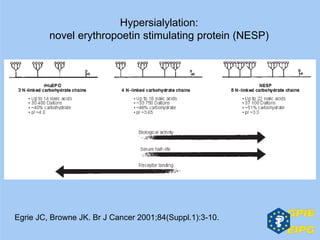 Egrie JC, Browne JK. Br J Cancer 2001;84(Suppl.1):3-10.
Hypersialylation:
novel erythropoetin stimulating protein (NESP)
 