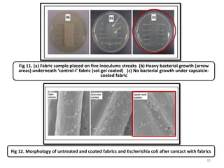 Fig 12. Morphology of untreated and coated fabrics and Escherichia coli after contact with fabrics
Fig 11. (a) Fabric sample placed on five inoculums streaks (b) Heavy bacterial growth (arrow
areas) underneath ‘control-I’ fabric (sol-gel coated) (c) No bacterial growth under capsaicin-
coated fabric
39
 