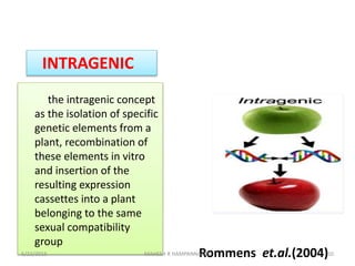 the intragenic concept
as the isolation of specific
genetic elements from a
plant, recombination of
these elements in vitr...