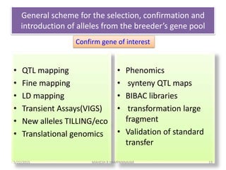 General scheme for the selection, confirmation and
introduction of alleles from the breeder’s gene pool
• QTL mapping
• Fi...