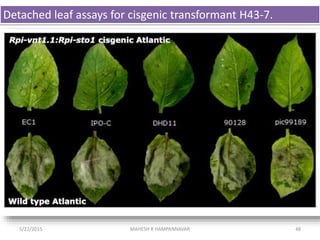 cisgenesis and intragenesis | PPTX