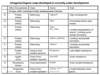 cisgenesis and intragenesis | PPTX