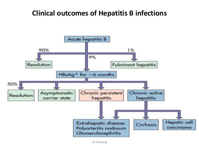 Viral Hepatitis Facts And Treatment Guidelines