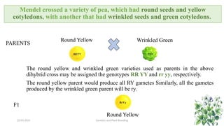 Applications of Probability theory in Genetics | PPTX