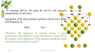 Applications of Probability theory in Genetics | PPTX