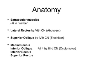 Anatomy
• Extraocular muscles
- 6 in number:
• Lateral Rectus by VIth CN (Abducent)
• Superior Oblique by IVth CN (Trochlear)
• Medial Rectus
Inferior Oblique All 4 by IIIrd CN (Oculomotor)
Inferior Rectus
Superior Rectus
 