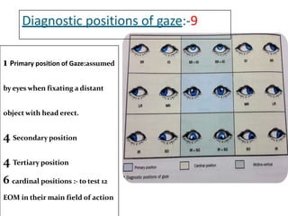 Diagnostic positions of gaze:-9
1 Primary position of Gaze:assumed
by eyes when fixating a distant
object with head erect.
4 Secondary position
4 Tertiary position
6 cardinal positions :- to test 12
EOM in their main field of action
 