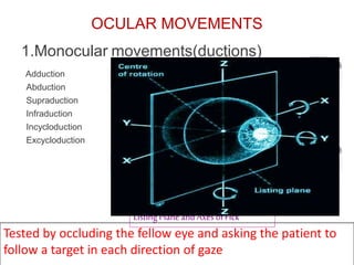 OCULAR MOVEMENTS
1.Monocular
Adduction
Abduction
Supraduction
Infraduction
Incycloduction
Excycloduction
movements(ductions)
Tested by occluding the fellow eye and asking the patient to
follow a target in each direction of gaze
Listing Plane and Axes of Fick
 