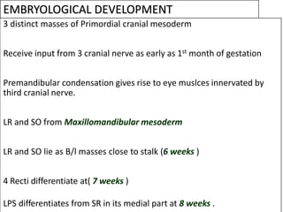EMBRYOLOGICAL DEVELOPMENT
3 distinct masses of Primordial cranial mesoderm
Receive input from 3 cranial nerve as early as 1st month of gestation
Premandibular condensation gives rise to eye muslces innervated by
third cranial nerve.
LR and SO from Maxillomandibular mesoderm
LR and SO lie as B/l masses close to stalk (6 weeks )
4 Recti differentiate at( 7 weeks )
LPS differentiates from SR in its medial part at 8 weeks .
 