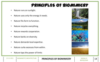 PRINCIPLES OF BIOMIMICRY
      •      Nature runs on sunlight.

      •      Nature uses only the energy it needs.

      •      Nature fits form to function.

      •      Nature recycles everything.

      •      Nature rewards cooperation.

      •      Nature banks on diversity.

      •      Nature demands local expertise.

      •      Nature curbs excesses from within.

      •      Nature taps the power of limits

15-11-2011      BIOMIMETIC ARCHITECTURE                                  VAISALI K
                                             PRINCIPLES OF BIOMIMICRY   B070225AR
                                                                                     14
 