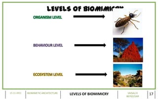 LEVELS OF BIOMIMICRY
                 ORGANISM LEVEL




                 BEHAVIOUR LEVEL




                 ECOSYSTEM LEVEL



15-11-2011   BIOMIMETIC ARCHITECTURE                           VAISALI K
                                       LEVELS OF BIOMIMICRY   B070225AR
                                                                           17
 