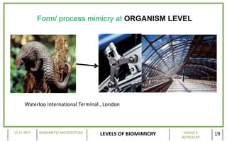 Form/ process mimicry at ORGANISM LEVEL




      Waterloo International Terminal , London



15-11-2011   BIOMIMETIC ARCHITECTURE                           VAISALI K
                                       LEVELS OF BIOMIMICRY   B070225AR
                                                                           19
 