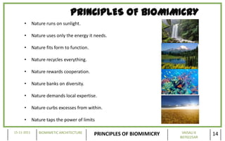 PRINCIPLES OF BIOMIMICRY
      •      Nature runs on sunlight.

      •      Nature uses only the energy it needs.

      ...