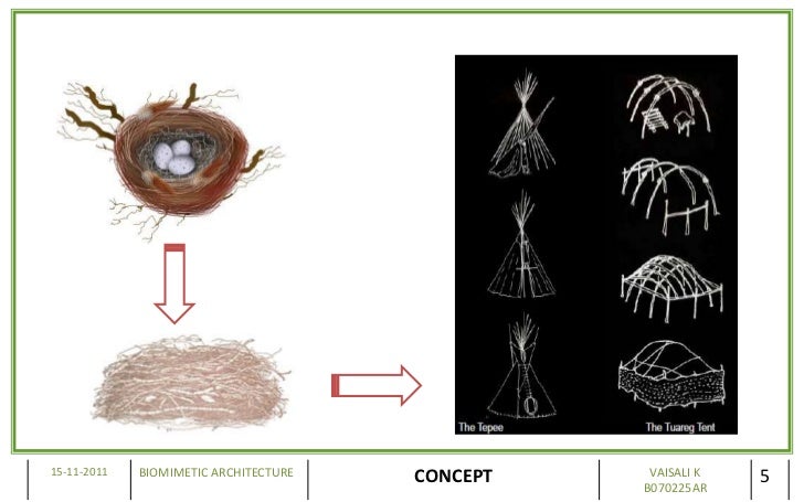 fluid 3 natural systems ARCHITECTURE BIOMIMETIC fluid 3 natural systems ARCHITECTURE BIOMIMETIC
