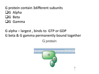 Seminar gpcr ppt | PPT