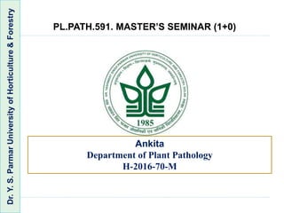 Dr.Y.S.ParmarUniversityofHorticulture&Forestry
Ankita
Department of Plant Pathology
H-2016-70-M
PL.PATH.591. MASTER’S SEMINAR (1+0)
 